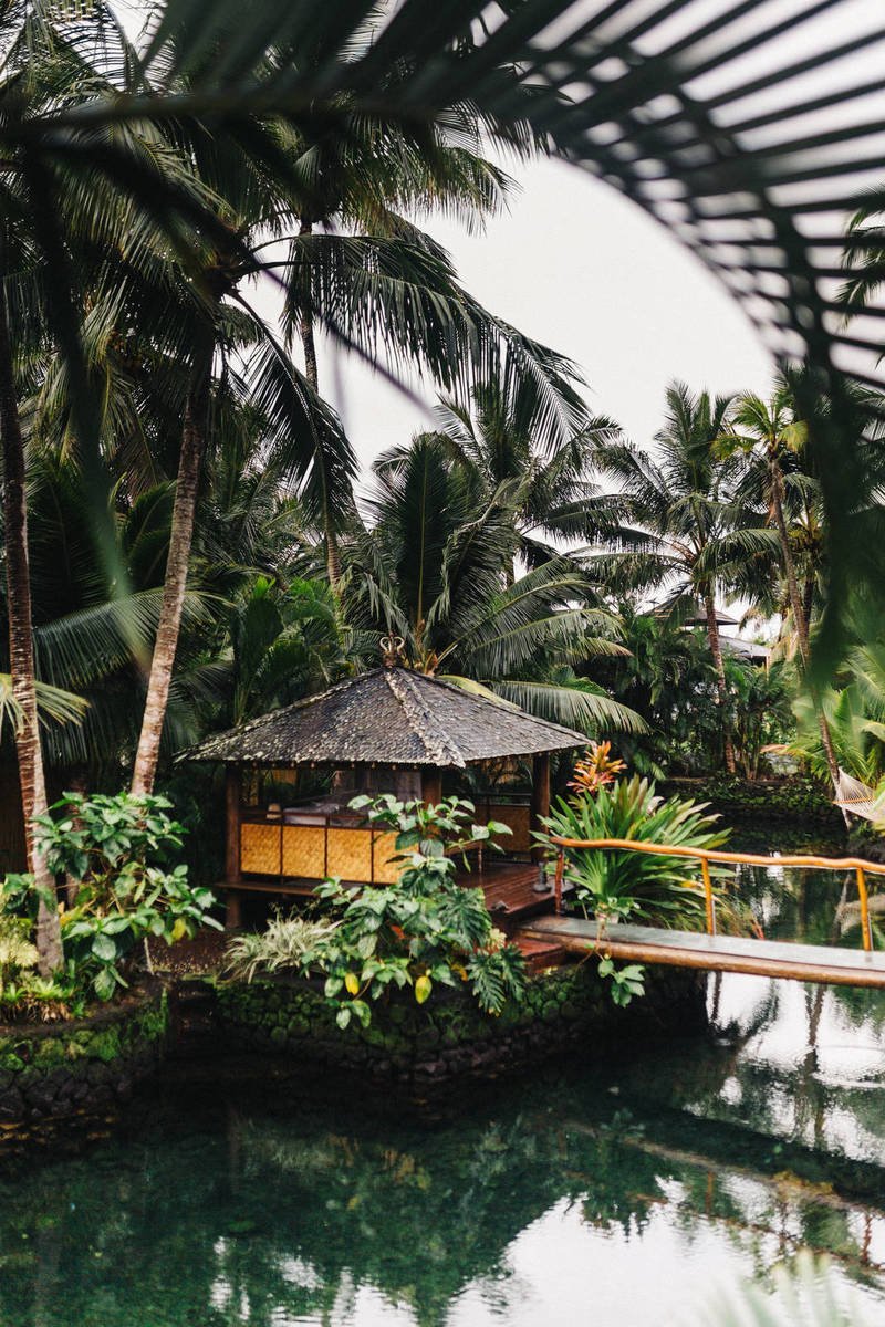 Gym-Free At-Home Holiday Workout: No Equipment Needed!