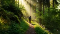 "The Role of Nature Walks in Boosting Mental Health and Emotional Peace"
