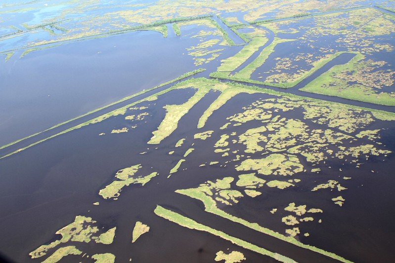 Big oil companies knew they were destroying Louisiana’s coast, records show Big oil companies knew they were destroying Louisiana’s coast, records show