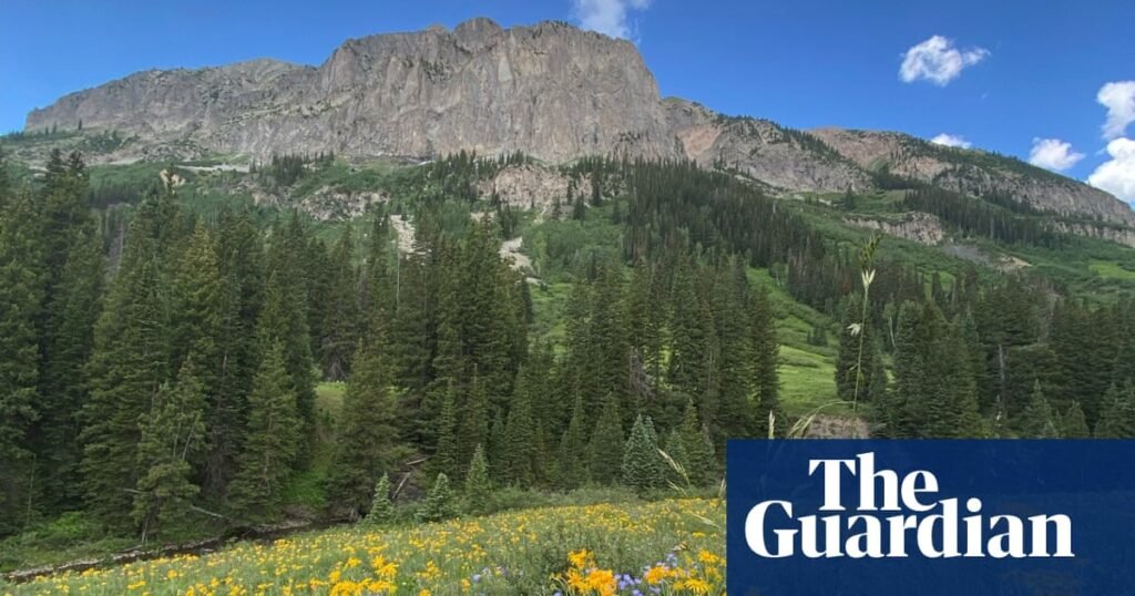 Shrub rise: What happened when scientists heated Rocky Mountain wildlife meadows to 2 degrees Celsius? | Endangered habitats Shrub rise: What happened when scientists heated Rocky Mountain wildlife meadows to 2 degrees Celsius? | Endangered habitats