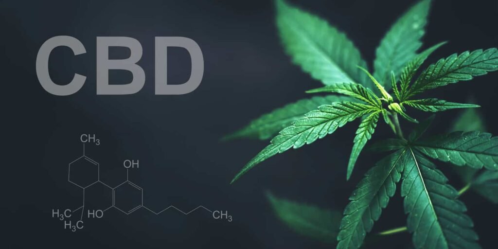 New trial suggests CBD oil may reduce anxiety and reduce parenting stress in children with autism