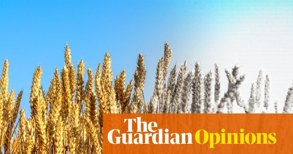We are letting big corporations risk our lives. If we don’t act now, we could run out of food | George Monbiot