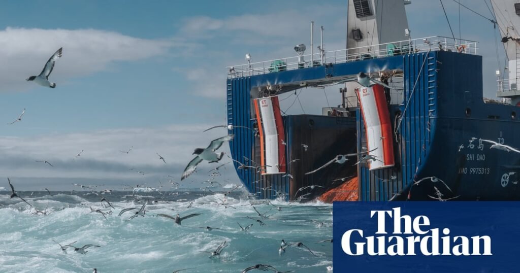 ‘Smells like a stinky fish and chip shop’: Antarctic krill trawlers and oceans | Endangered species