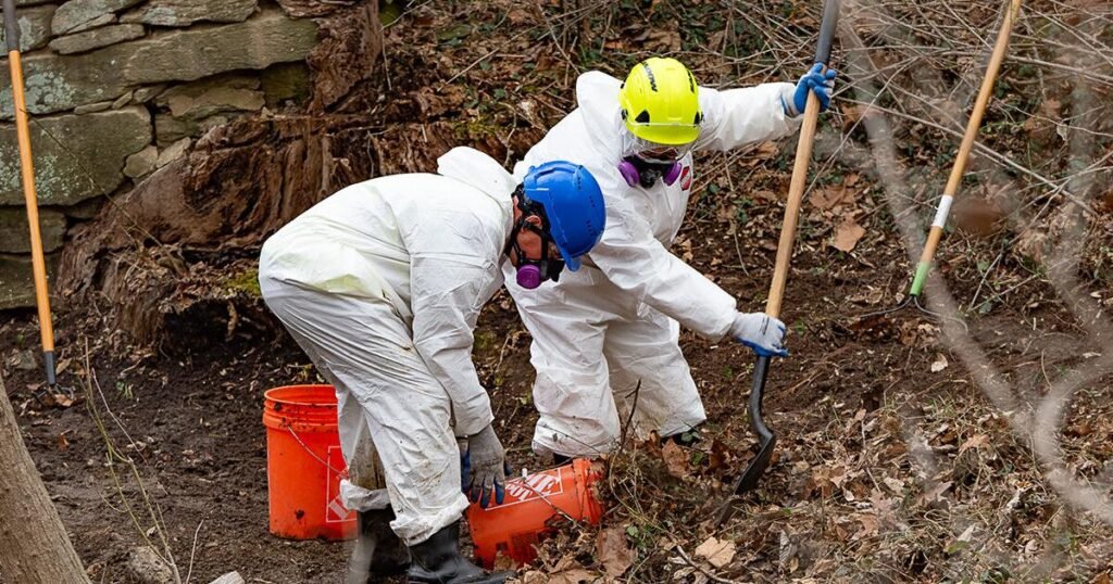 ‘Back to normal’: Washington DC’s sewage response moves to cleanup | Pollution and solutions