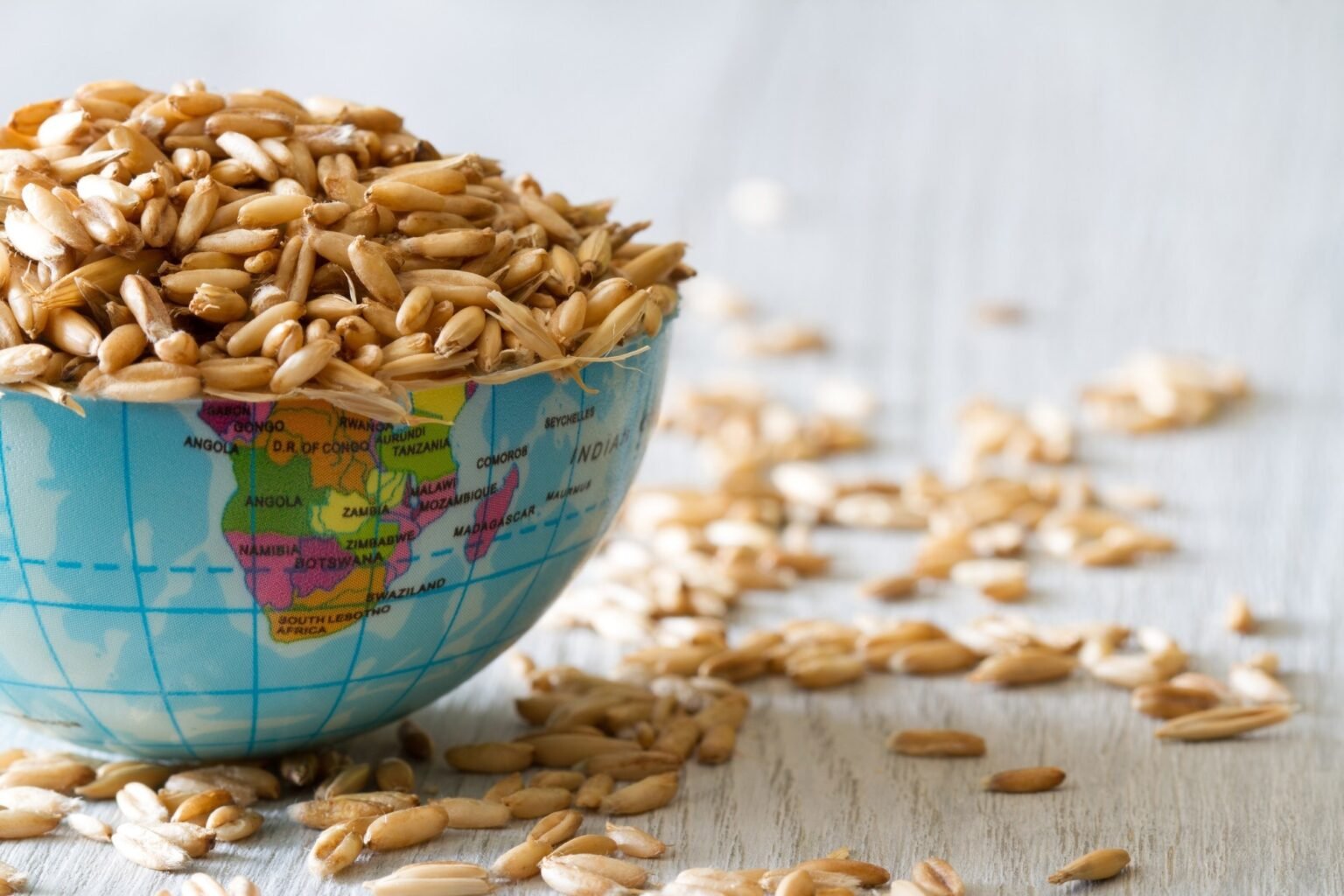 Despite the benefits of food fortification, global nutritional disparities persist Despite the benefits of food fortification, global nutritional disparities persist