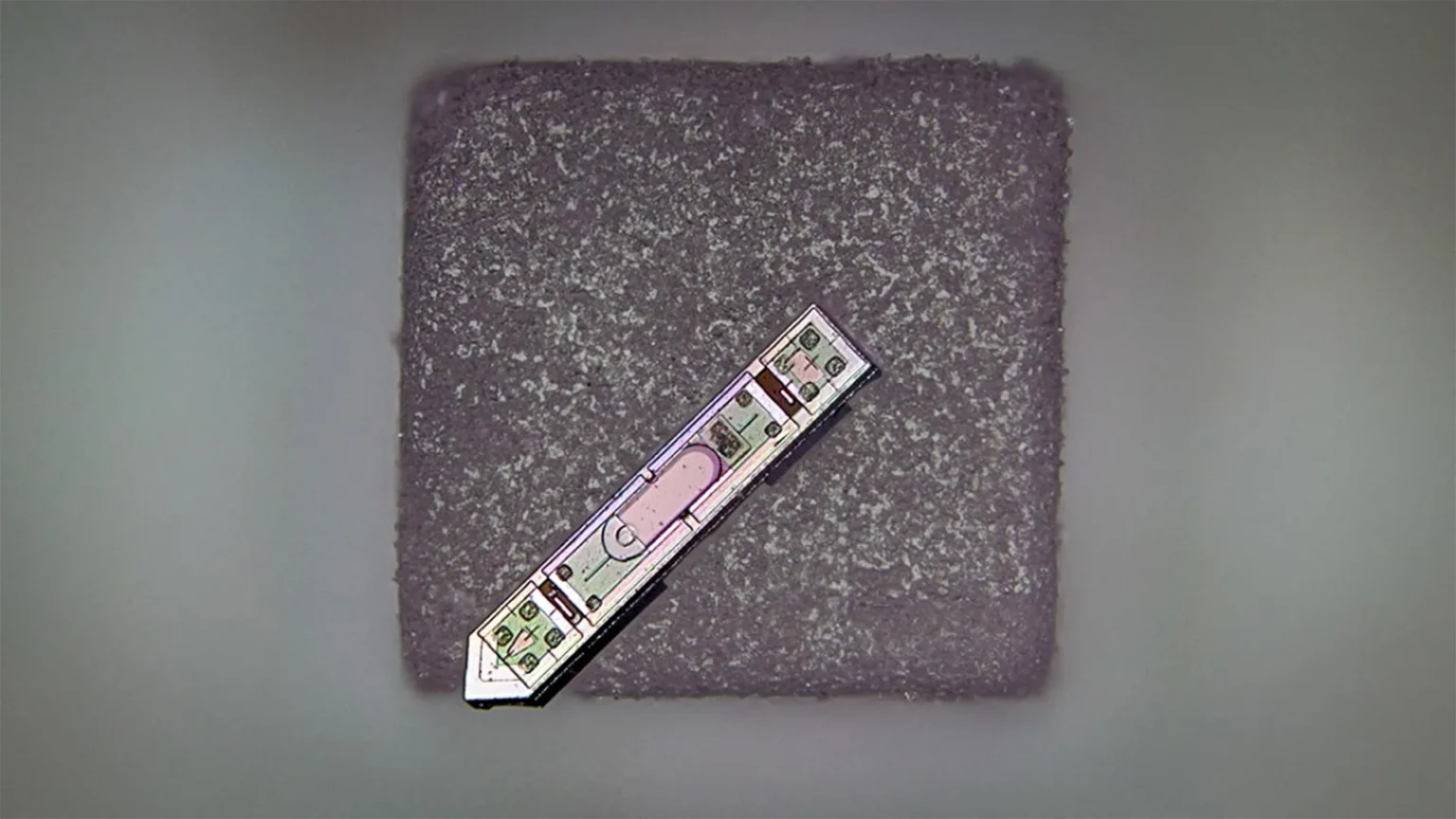 This tiny implant smaller than a grain of salt can read your brain