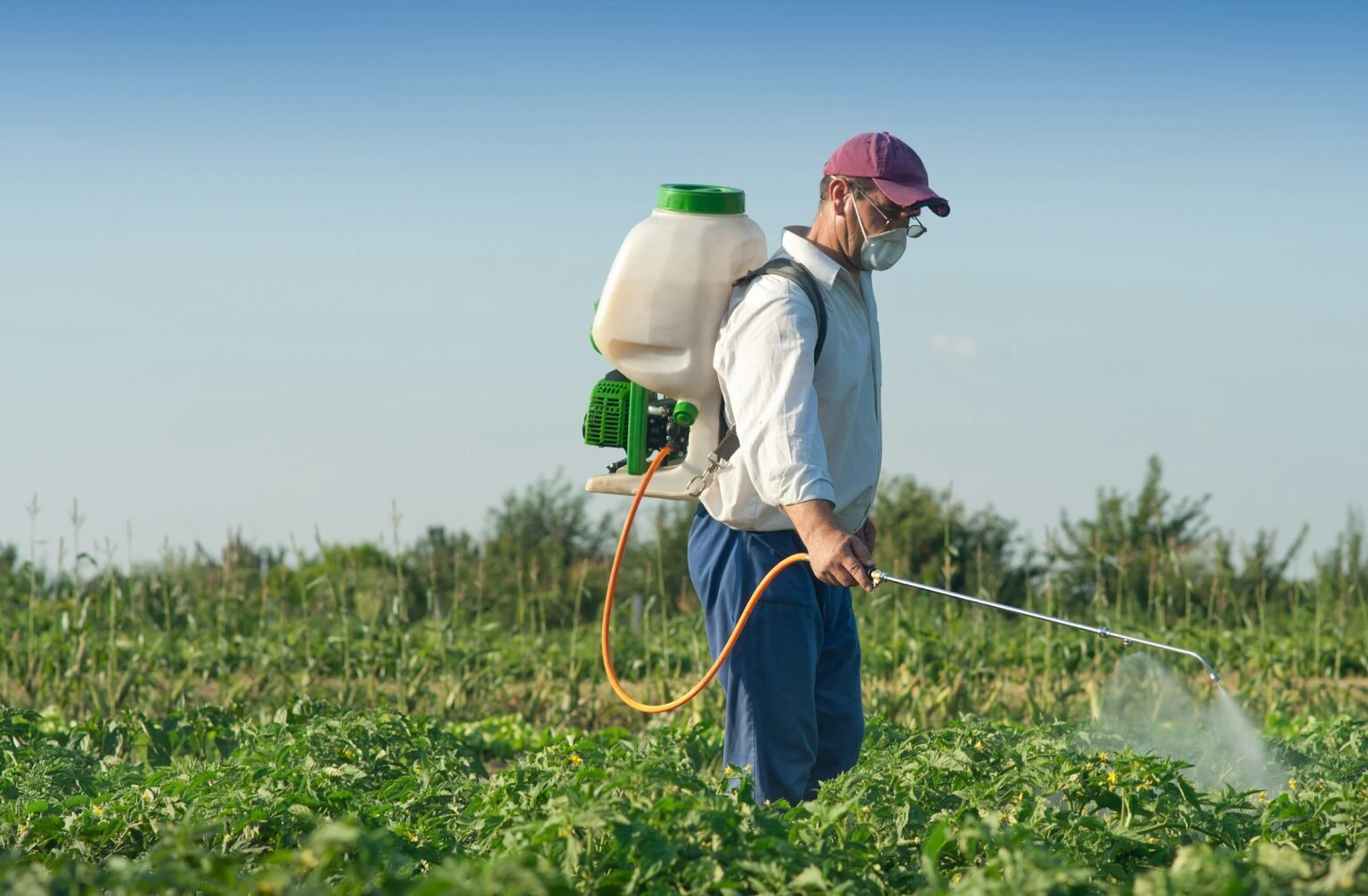 Even when EPA finds cancer risks from pesticides, it rarely requires a warning.