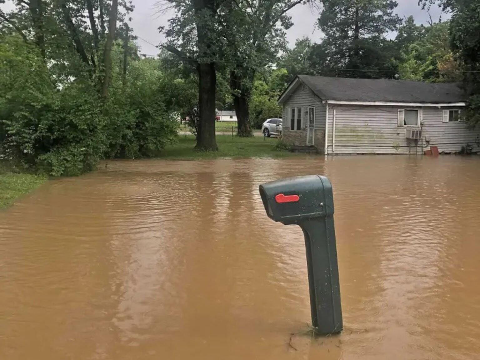 Black towns in Illinois have E. coli in their water as federal funding cuts Black towns in Illinois have E. coli in their water as federal funding cuts