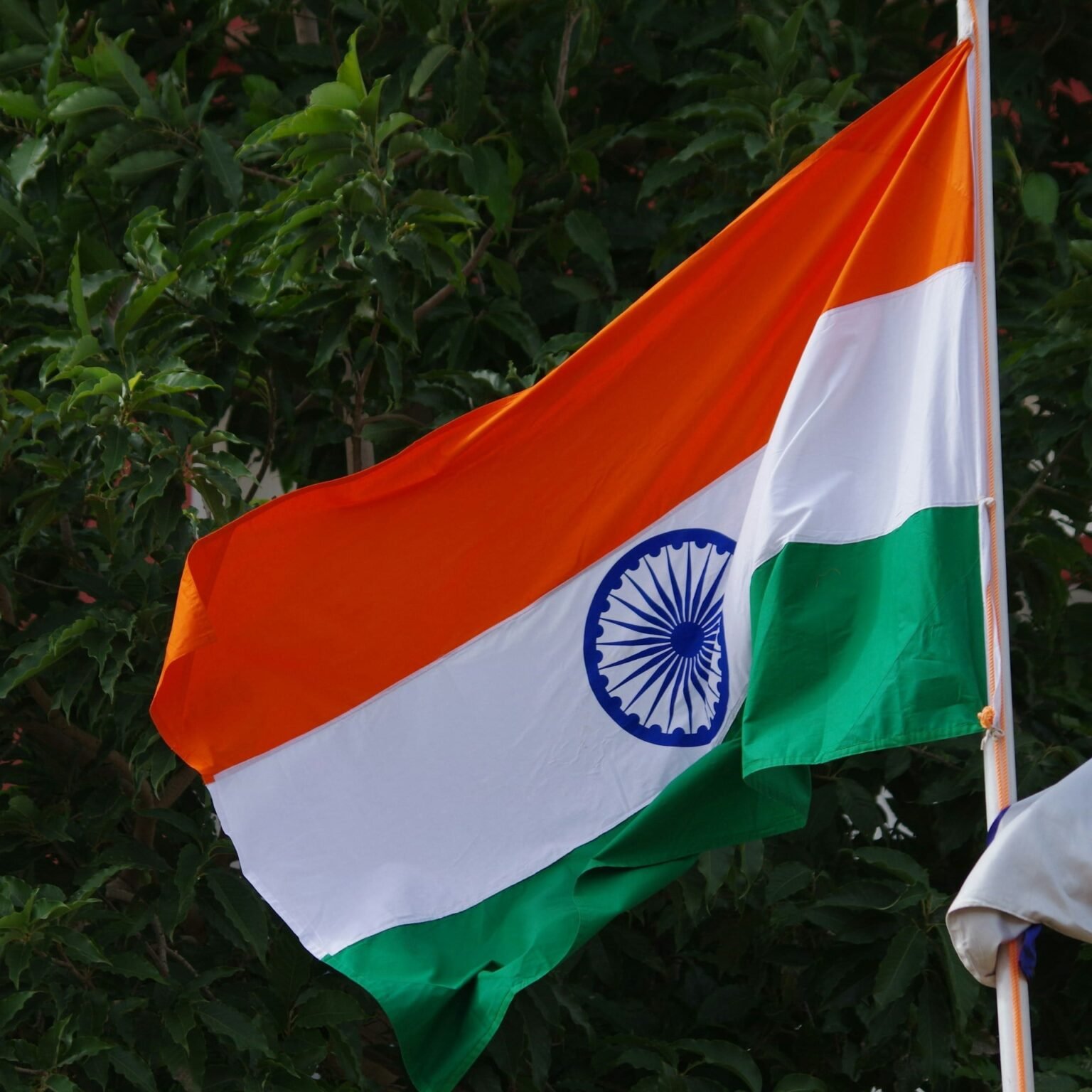 Generic version of Novo’s semaglutide launched in India today Generic version of Novo’s semaglutide launched in India today