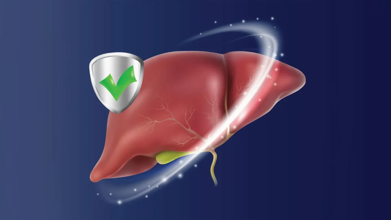 New drug protects liver and promotes nutrient absorption after intestinal surgery