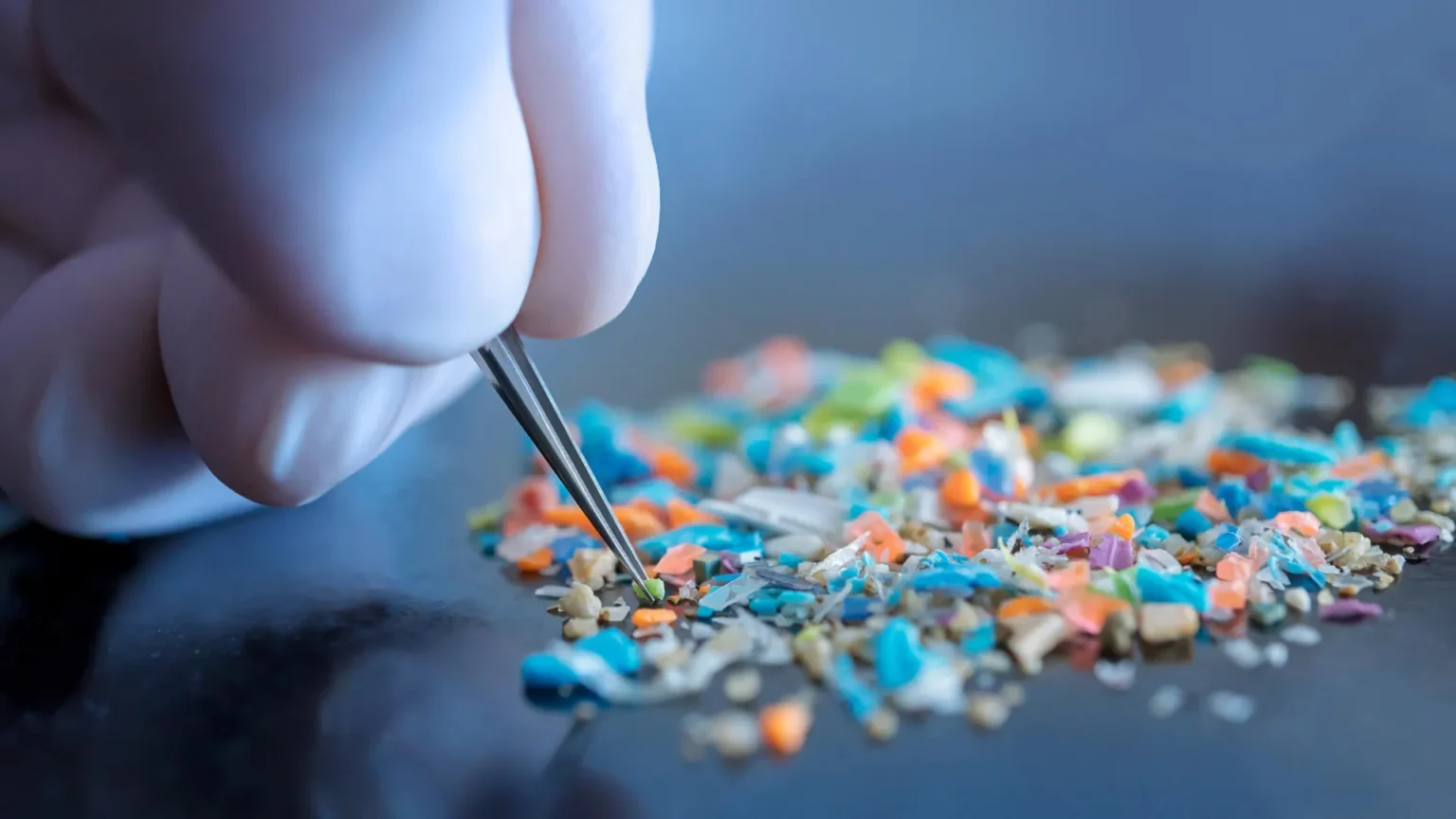 Scientists shocked that lab gloves could be skewing microplastic data Scientists shocked that lab gloves could be skewing microplastic data