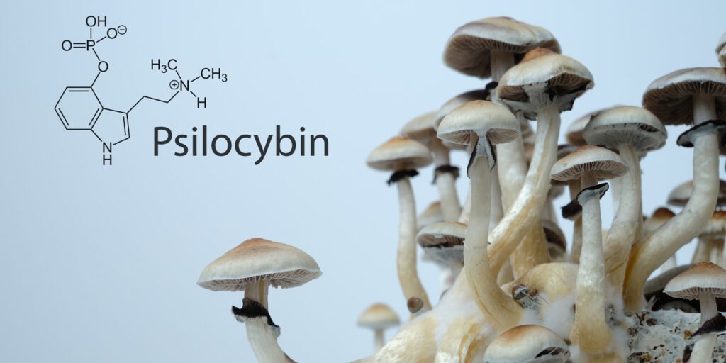 Psilocybin unleashes specific biological signatures in the brain associated with profound mystical states