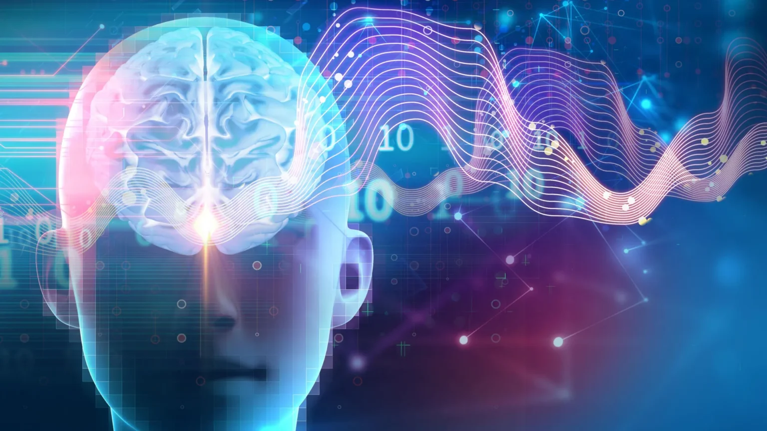 Scientists discover sleep switch that builds muscle, burns fat and boosts brain power Scientists discover sleep switch that builds muscle, burns fat and boosts brain power