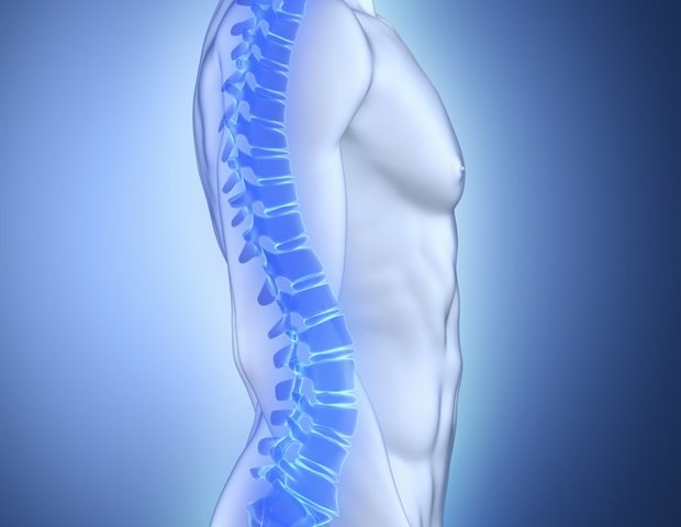Periodontal disease bacteria cause bone density loss through the intestines