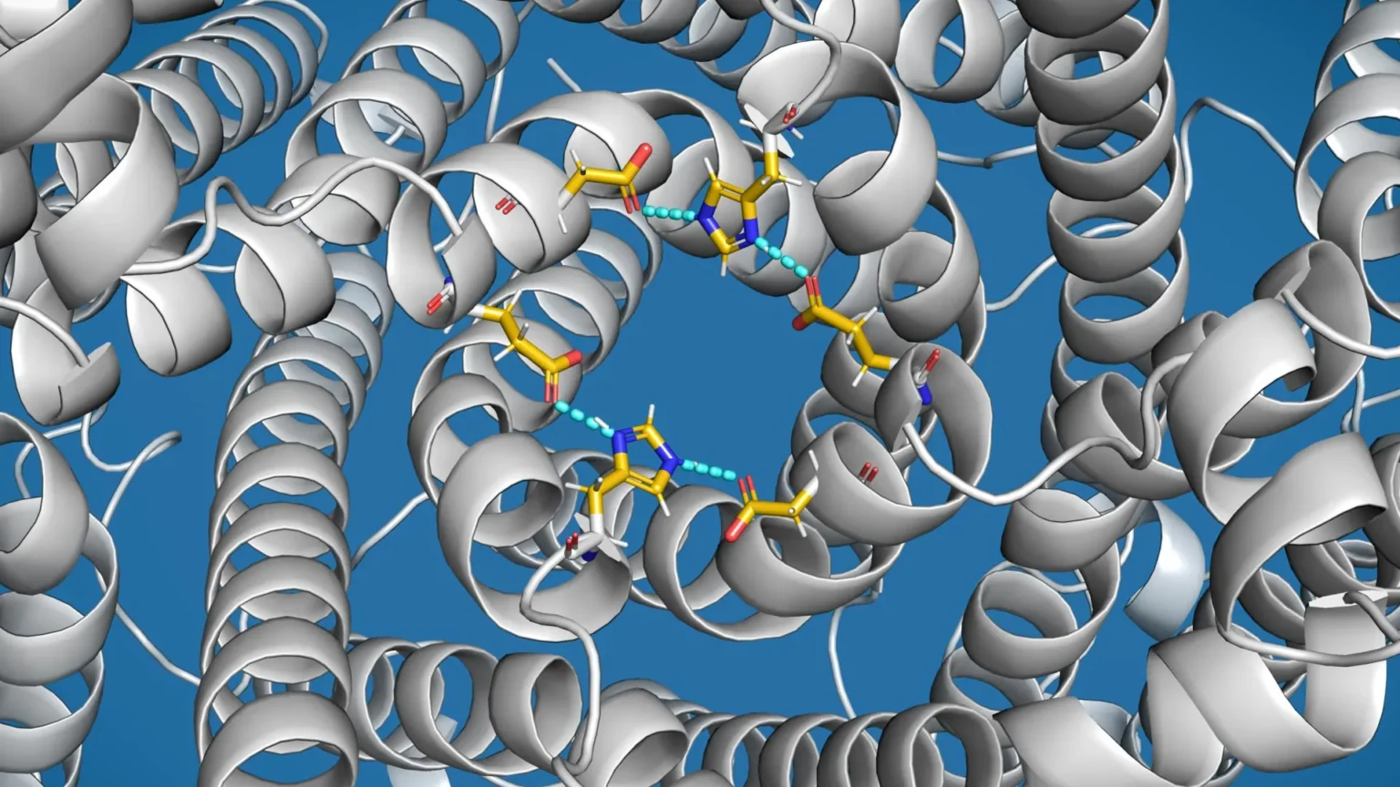 Scientists discover cellular ‘overflow valve’ linked to Parkinson’s disease