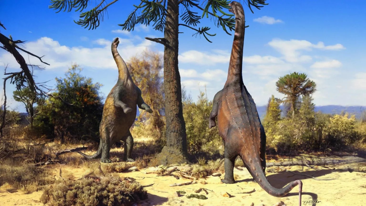 Some dinosaurs can stand up like giants – until they get too big Some dinosaurs can stand up like giants – until they get too big