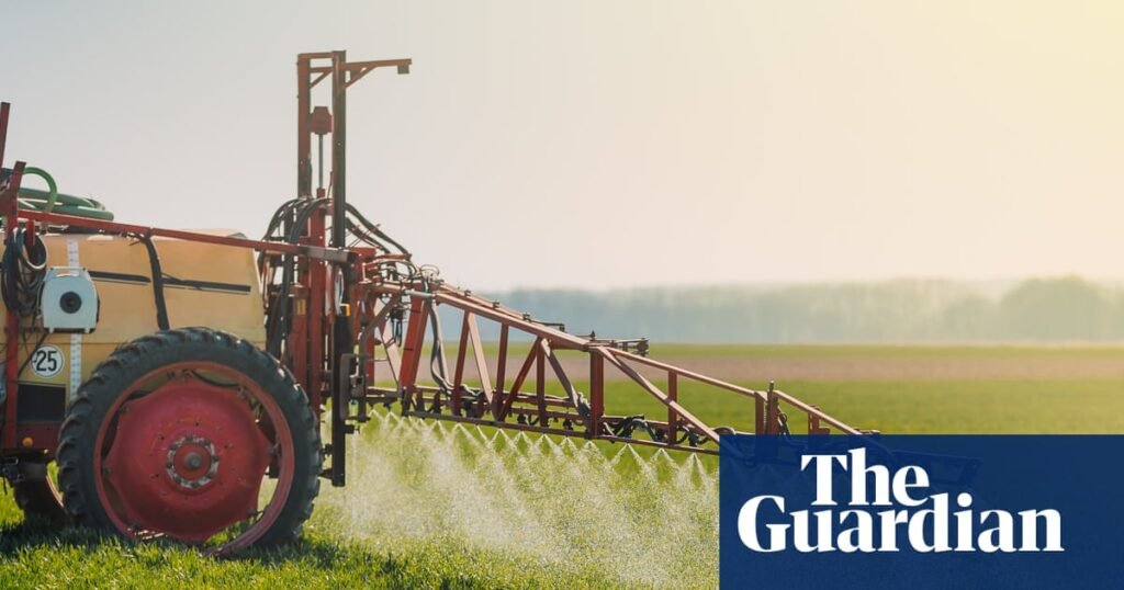 The stakes are high as the Supreme Court is set to rule on Monsanto’s herbicide law | US Supreme Court