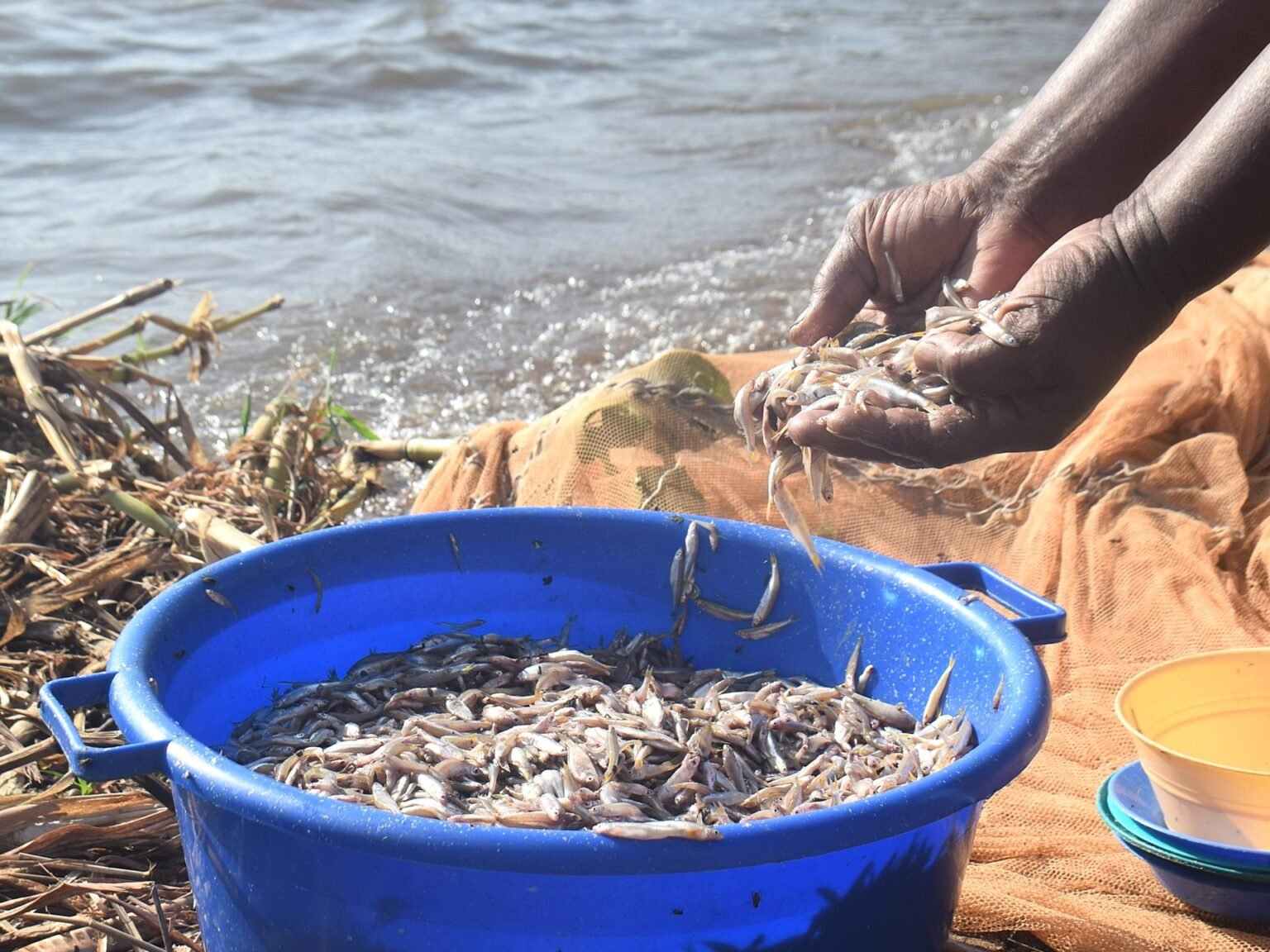 Kenyan women challenge fishing taboos as climate change threatens Lake Victoria | Women’s News