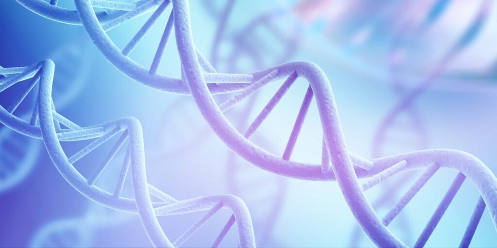 Large-scale genome study reveals autism risk genes are shared across human ancestors