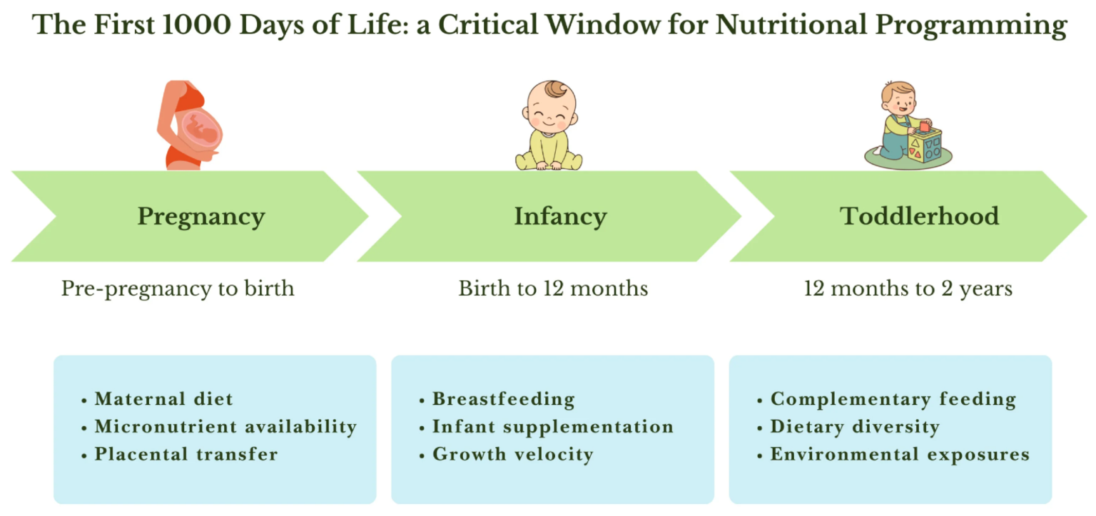 How vitamin D in your first 1,000 days shapes lifelong health