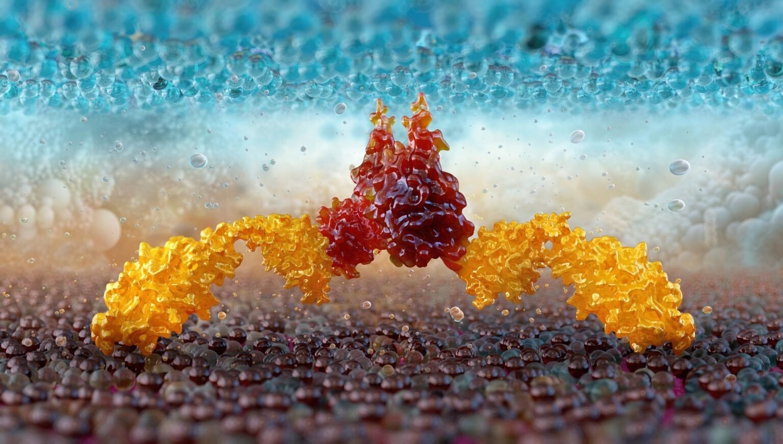 Metabolic rewiring may help CAR-T cells fight solid tumors