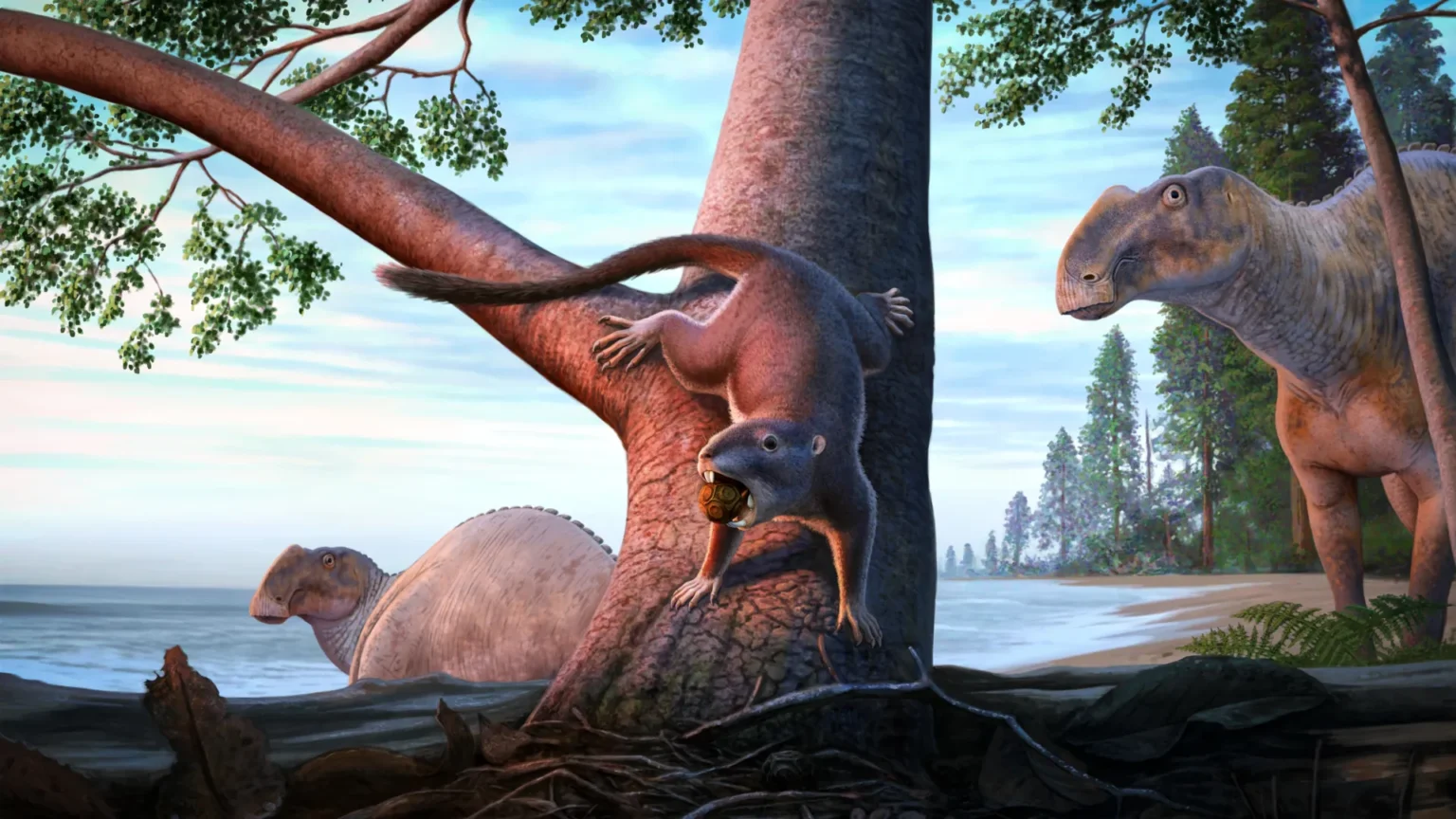 This small mammal survived the dinosaur apocalypse and changed life on Earth.