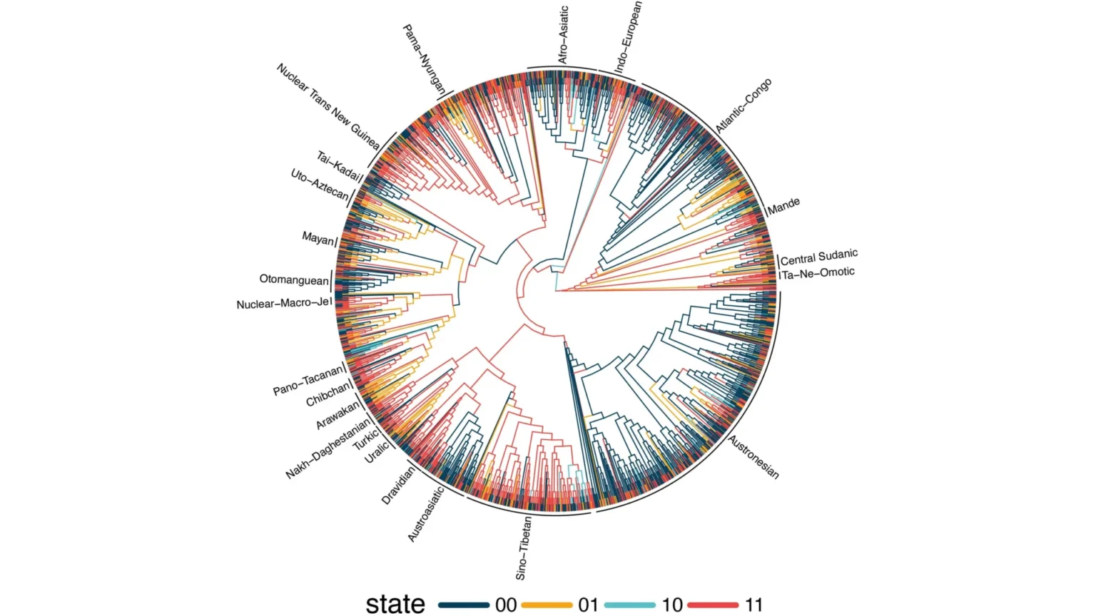 Studying 1,700 languages ​​reveals surprising hidden patterns