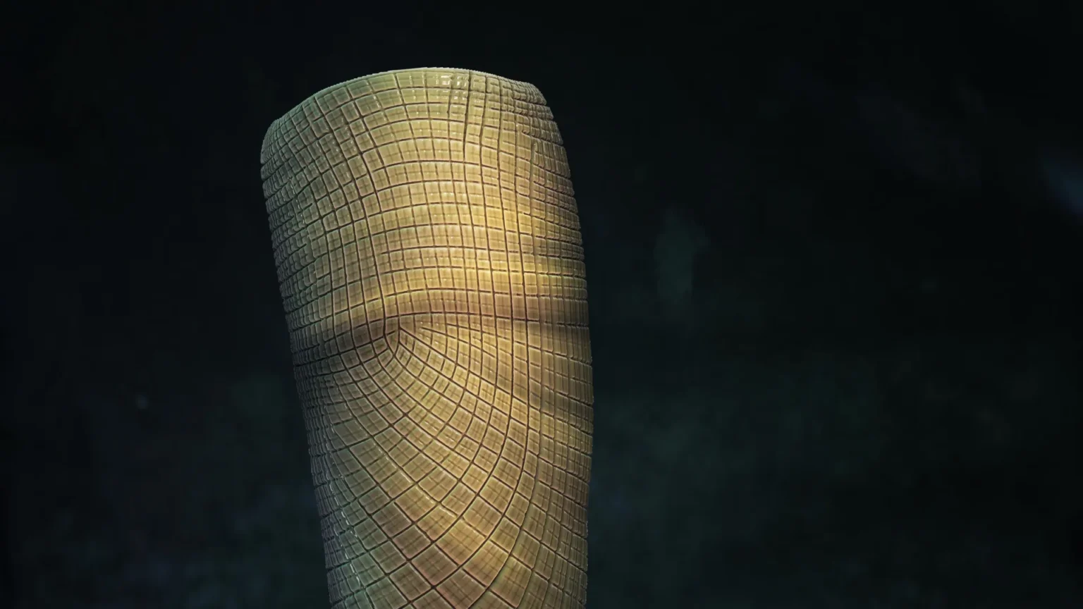 Scientists unravel 160-million-year-old fossil mystery: ‘We’ve never seen anything like it’