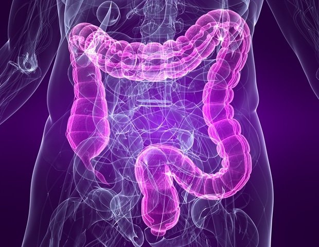 Gut microbiota regulates intestinal epithelial cell function and plasticity Gut microbiota regulates intestinal epithelial cell function and plasticity