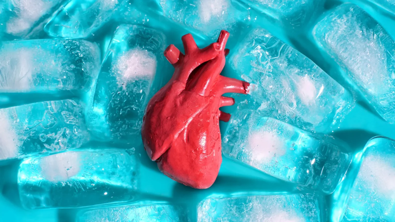 Scientists discover a way to freeze transplanted organs without breaking them