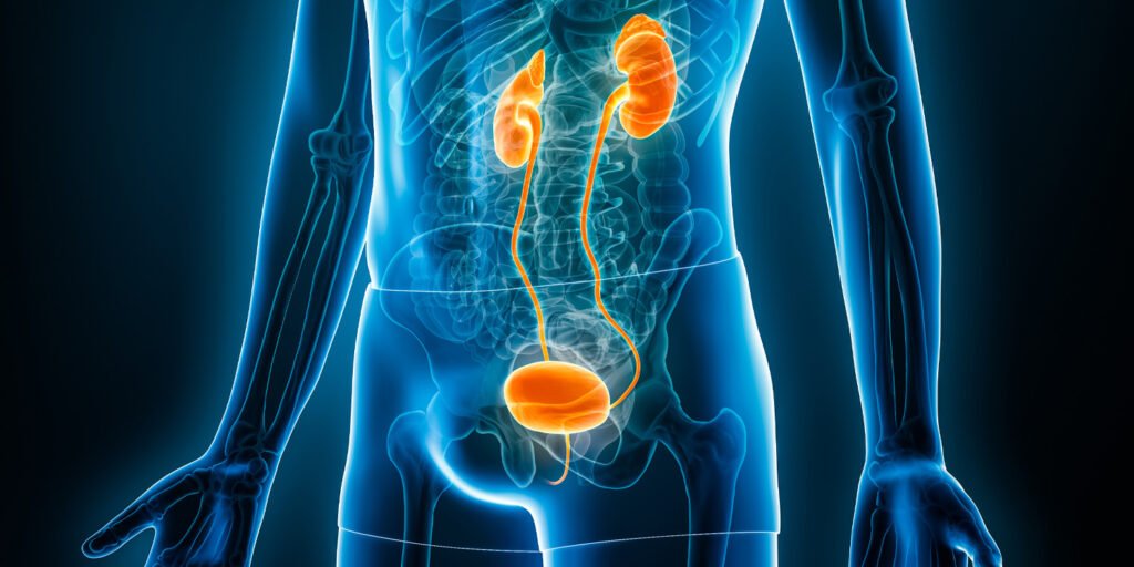 Although data are limited, the risk of bladder toxicity in psychiatric ketamine patients appears to be low Although data are limited, the risk of bladder toxicity in psychiatric ketamine patients appears to be low