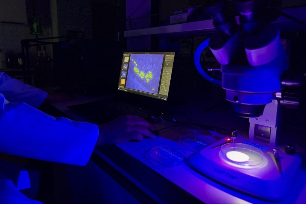 Microplastics could reduce aquaculture production by up to 18%, study finds