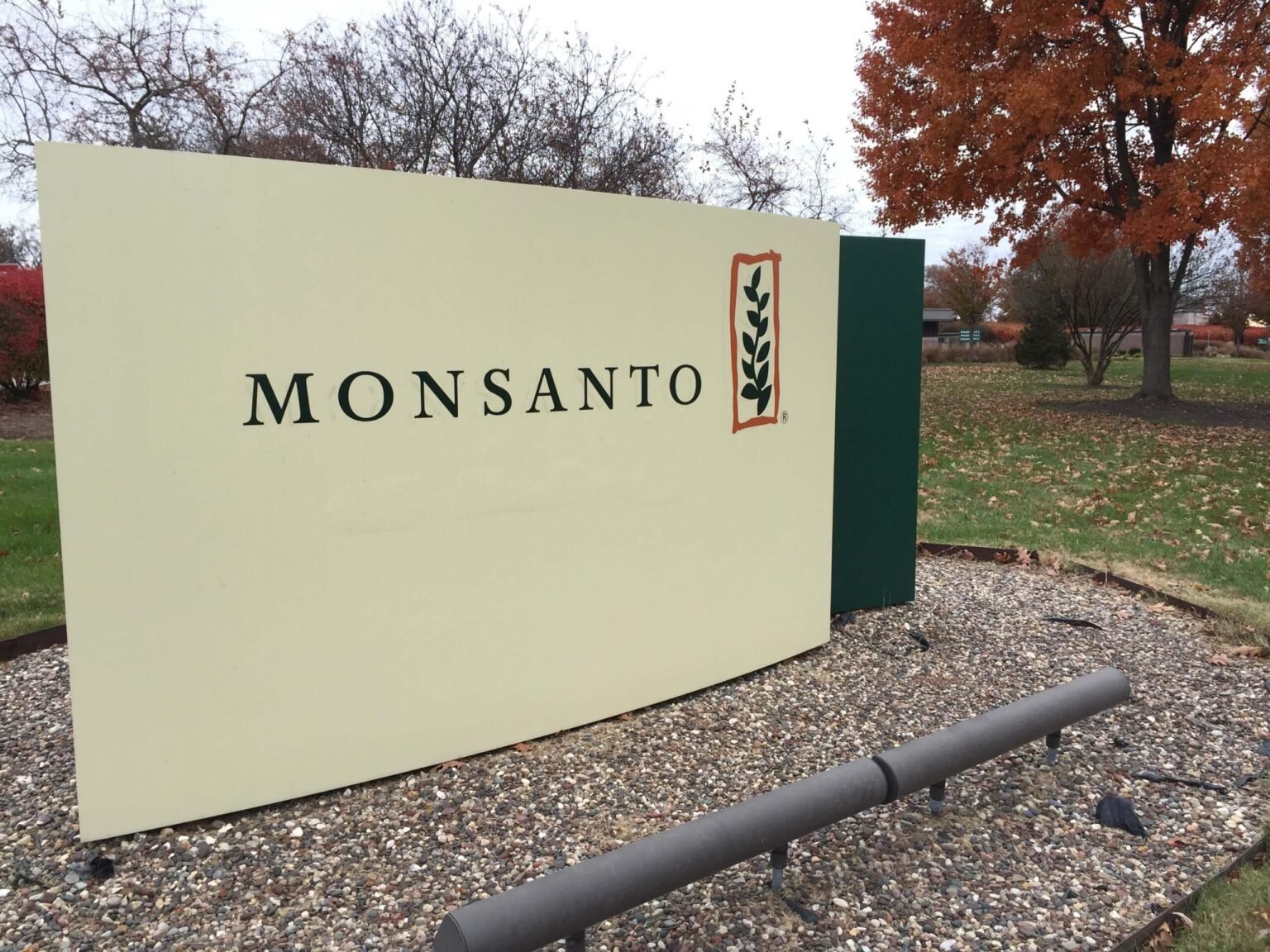 Monsanto’s Big Moment – ​​Focus on Supreme Court Hearings on Pesticide Laws