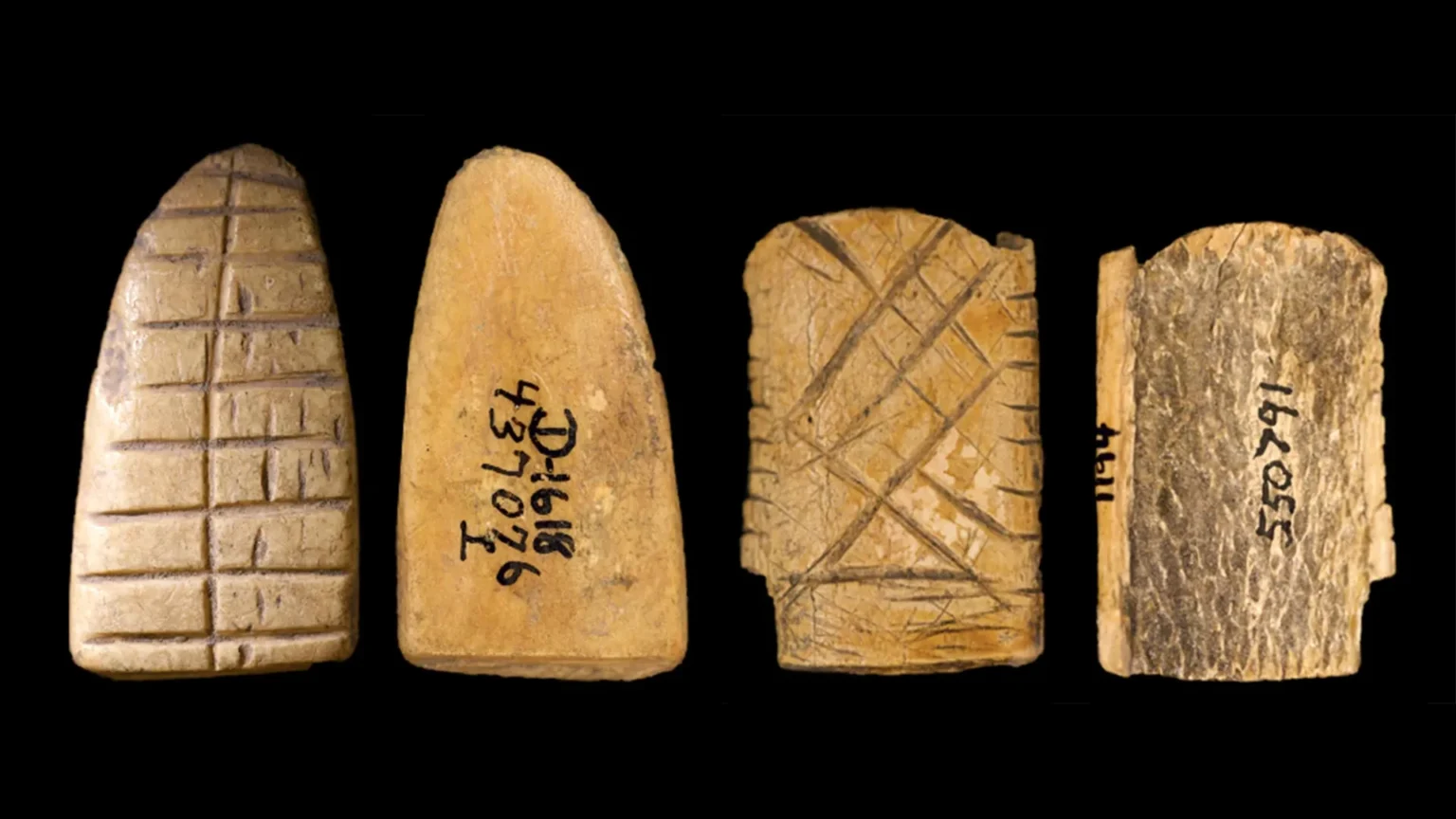 Ancient bone dice reveal 12,000 years of history of American gambling