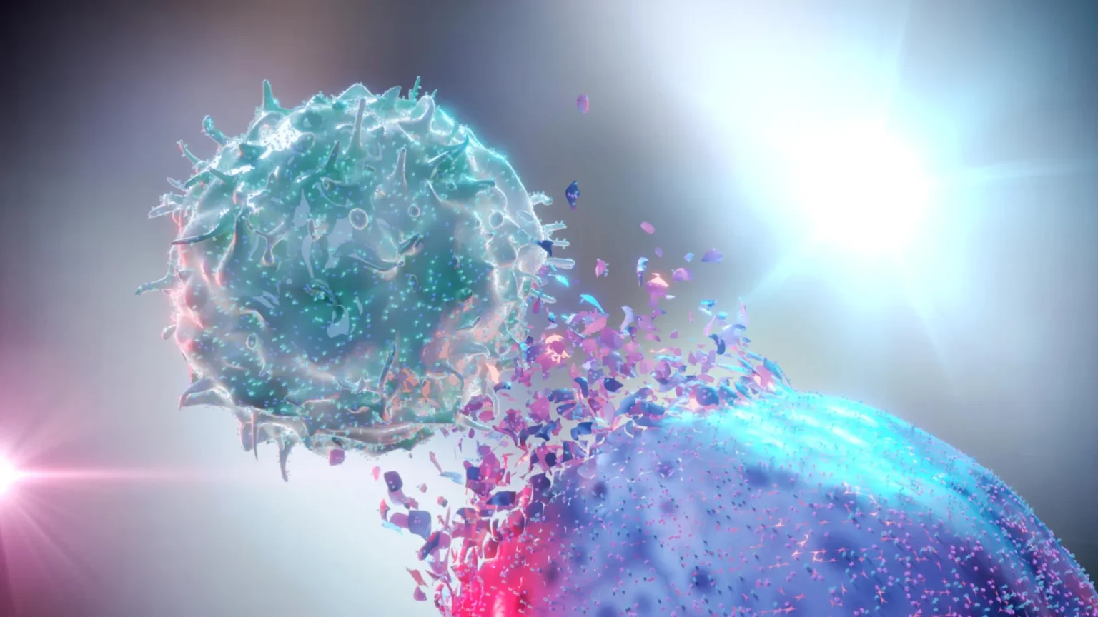 Scientists strengthen immune cells to more effectively destroy cancer