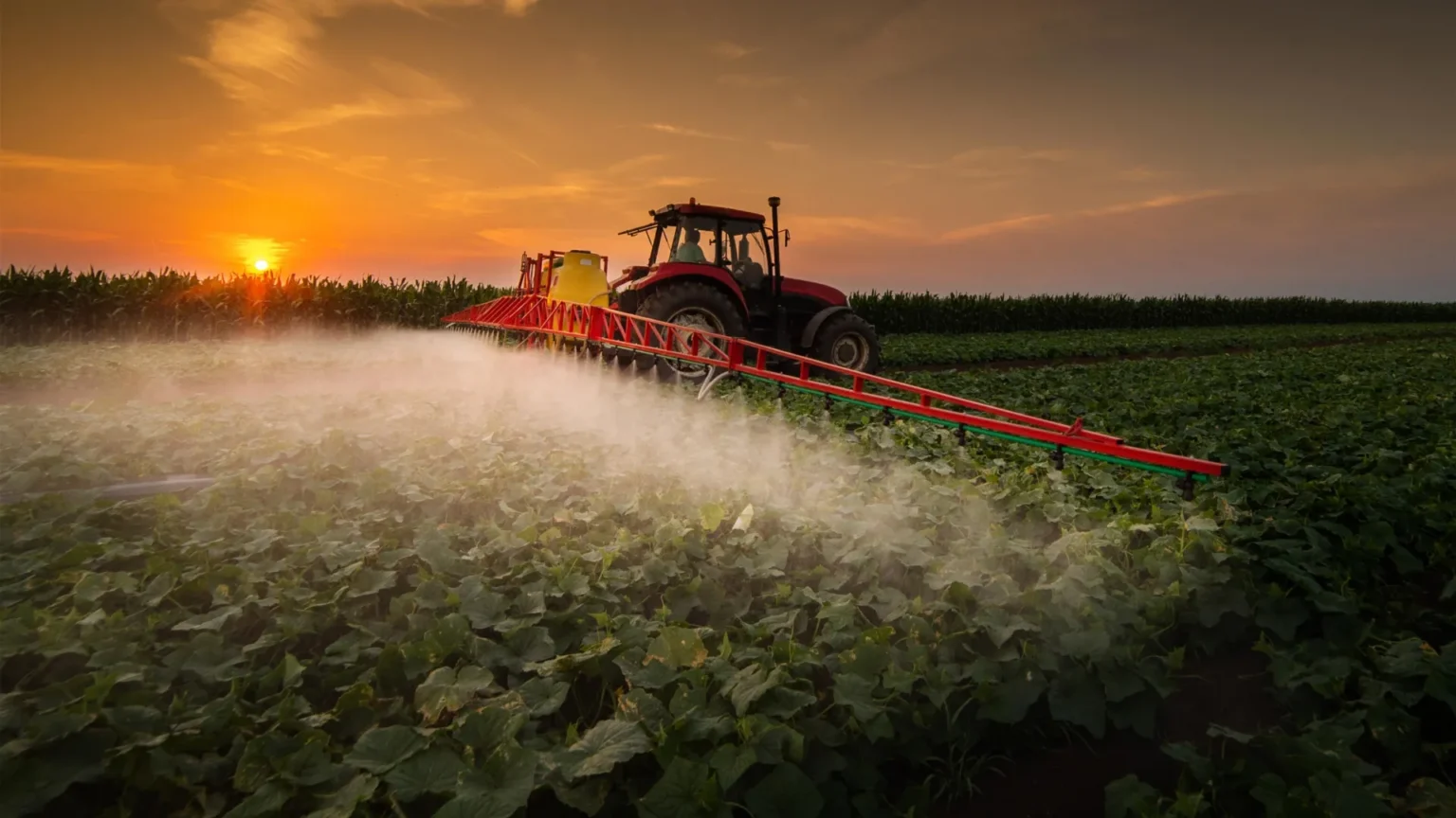 Exposure to pesticides linked to 150% increased cancer risk in large study