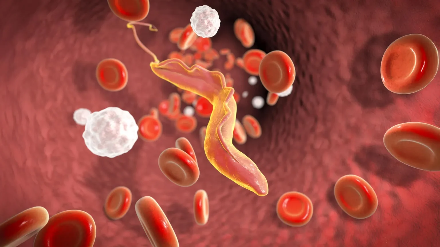 Scientists discover ‘molecular shredder’ that helps deadly parasites evade immune system