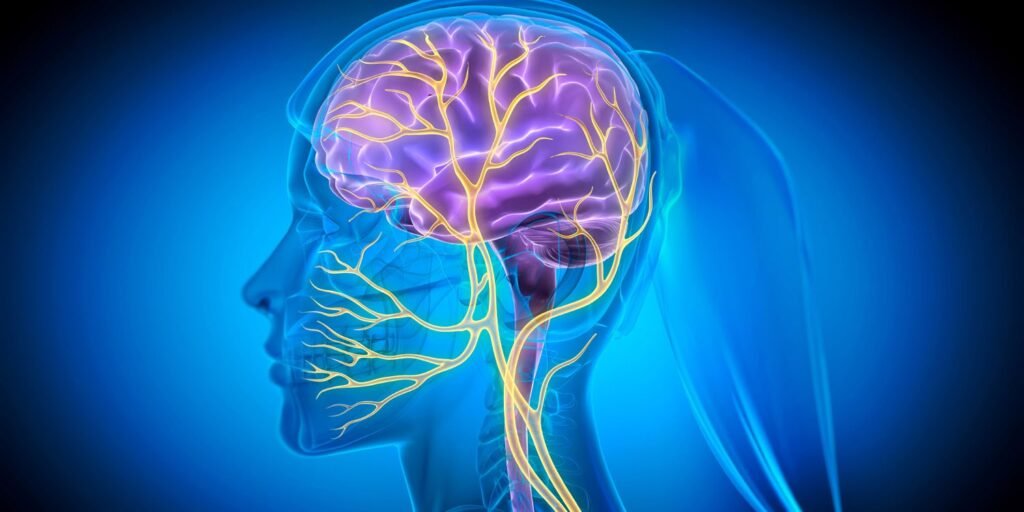 How stimulating the vagus nerve can protect the brain from Alzheimer’s disease