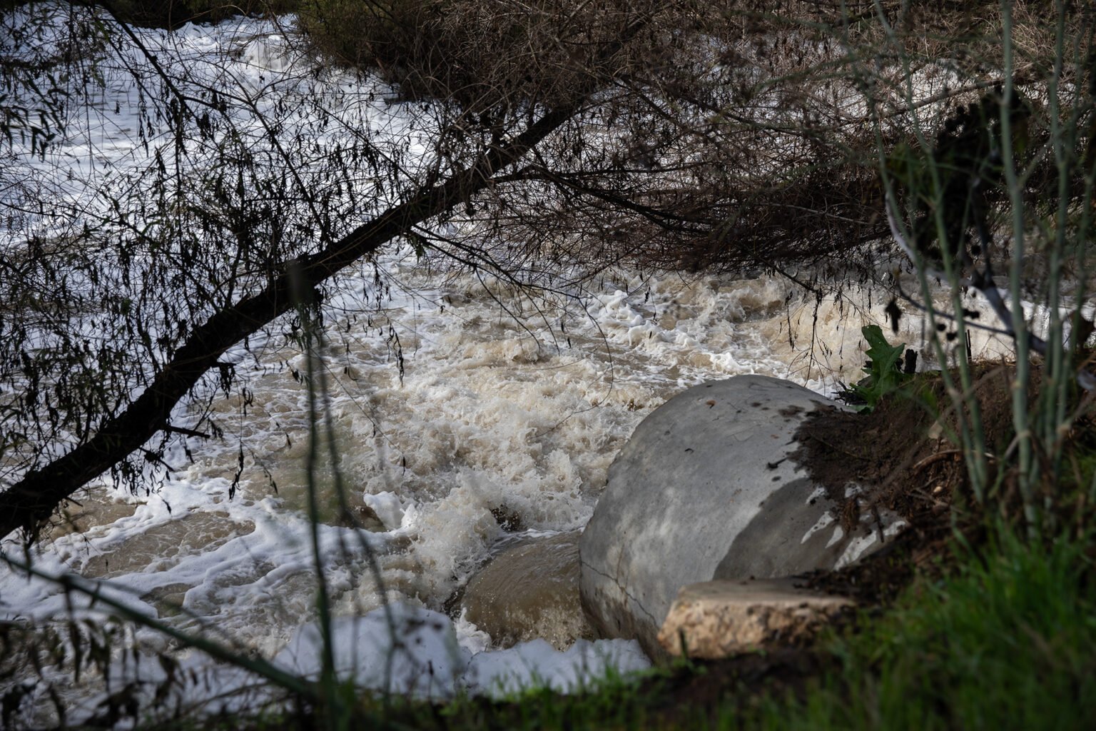The Tijuana River is one of the most polluted rivers in the world. What’s your plan to clean it up?