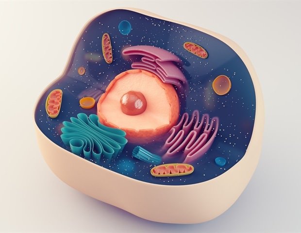 Two proteins prevent differentiation and help maintain stem cells