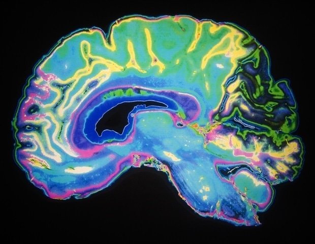 Critical neural circuits help the brain ‘change gears’