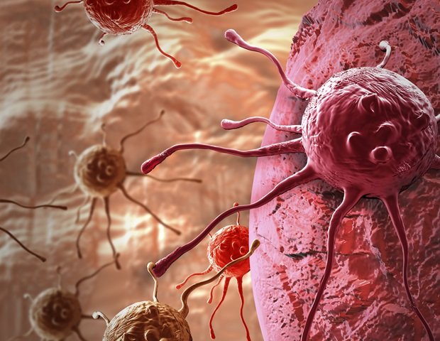 Scientists discover unexpected heat retention properties inside cells Scientists discover unexpected heat retention properties inside cells
