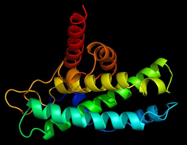 Lower protein intake is associated with age-related decline in physical function Lower protein intake is associated with age-related decline in physical function