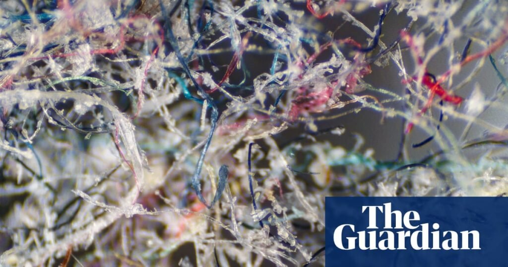 ‘You have to go where the pollution is’: Inventor wants to fix washing machines to stop microplastics | Plastics