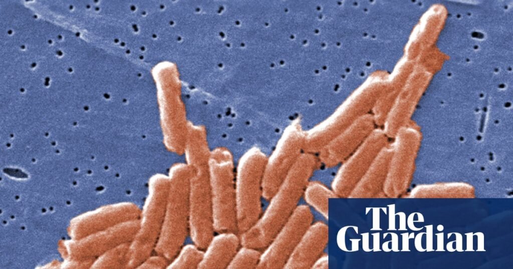 Climate crisis is accelerating antibiotic resistance around the world, study says | Antibiotics Climate crisis is accelerating antibiotic resistance around the world, study says | Antibiotics