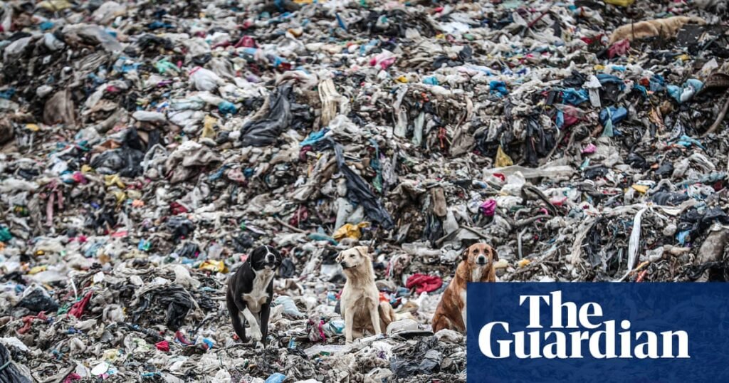Germany will become the biggest exporter of plastic waste in 2025, sending 810,000 tons abroad, analysis finds | Plastic