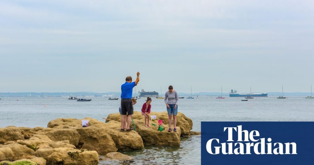 High levels of toxic ‘forever chemicals’ found off the coast of southern England | Marine life High levels of toxic ‘forever chemicals’ found off the coast of southern England | Marine life