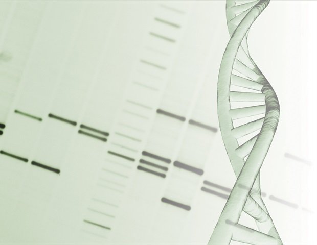 Extrachromosomal circular DNA holds promise for accurate disease diagnosis Extrachromosomal circular DNA holds promise for accurate disease diagnosis