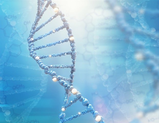 Lactylation can cause pulmonary fibrosis through metabolic reprogramming pathways Lactylation can cause pulmonary fibrosis through metabolic reprogramming pathways