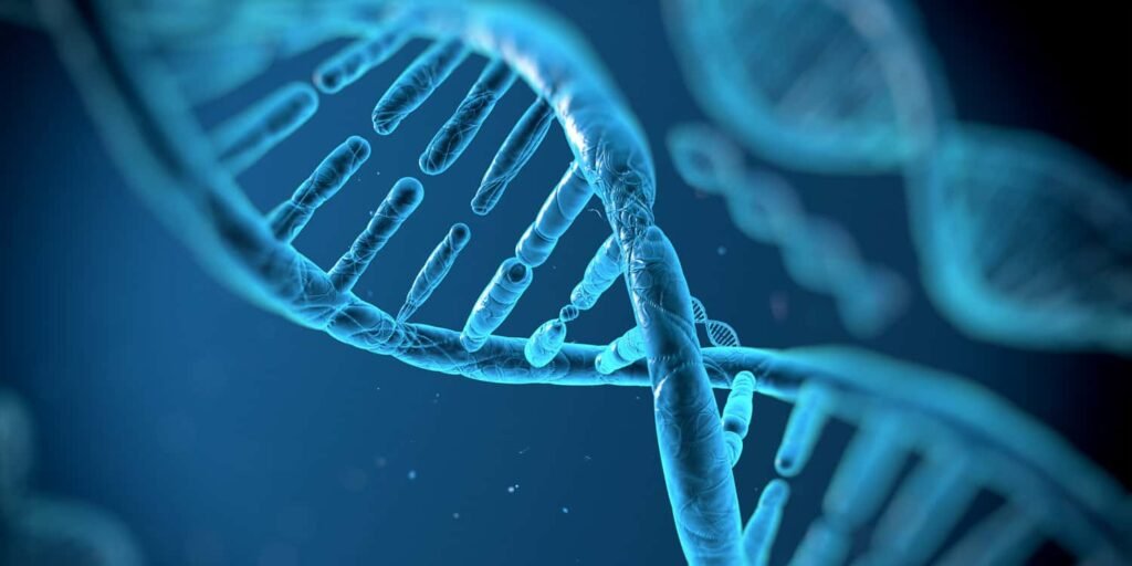 Genetic data reveals how brain structure contributes to autism and attention disorders
